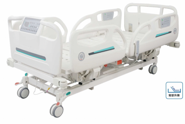 Electric Hospital Bed DHC-III (DM10) Multifunctional Electric Hospital Bed